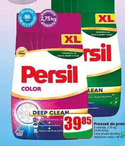 Dino Proszek do prania Persil Clean XL oferta