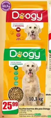 Dino Sucha karma dla psa z wołowiną Doogy oferta