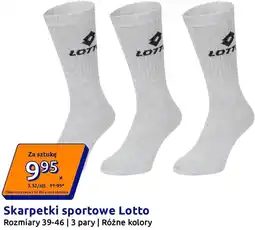 Action Skarpetki sportowe Lotto oferta