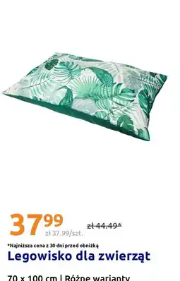 Action Legowisko dla zwierząt 70 x 100 cm | Różne warianty oferta