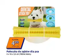 Action Pałeczka do zębów dla psa 4 x 16 x 3,5 cm | Różne kolory oferta