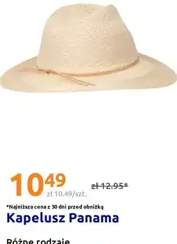 Action Kapelusz Panama Różne rodzaje oferta