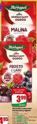 Dino Herbatka owocowa Herbaciany Ogród Herbapol oferta