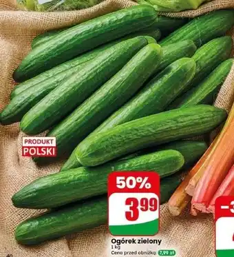 Dino Ogórek zielony oferta