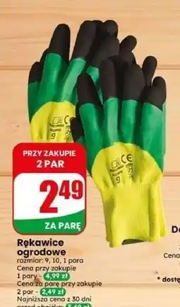 Dino Rękawice ogrodowe oferta