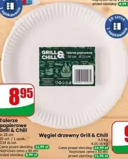 Dino Talerze papierowe Grill & Chill oferta