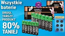 Dino baterie oferta