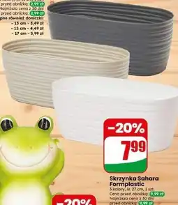 Dino Skrzynka Sahara Formplastic oferta
