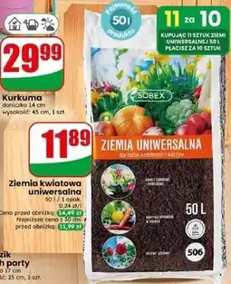 Dino Ziemia kwiatowa uniwersalna oferta