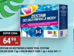 bi1 Zestaw do dezynfekcji wody Pool System oferta