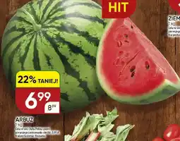 Chata Polska Arbuz oferta