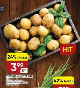 Chata Polska Ziemniaki wczesne oferta