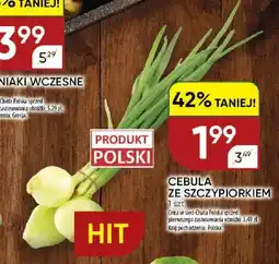 Chata Polska Cebula ze szczypiorkiem oferta