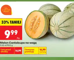 Biedronka Melon Cantaloupe oferta
