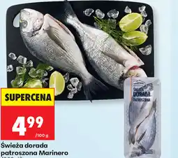 Biedronka Świeża dorada patroszona oferta