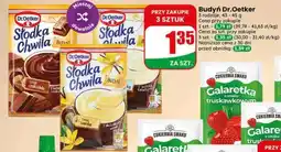 Dino Budyń DR. OETKER oferta