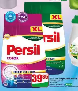 Dino Proszek do prania Persil oferta