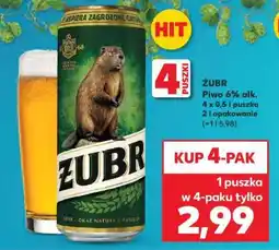 Kaufland Żubr oferta