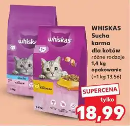 Kaufland WHISKAS Sucha karma dla kotów oferta