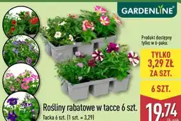 ALDI Rośliny rabatowe w tacce 6 szt oferta