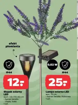 Netto Lampa solarna LED wys. 70cm barwa fioletowa oferta