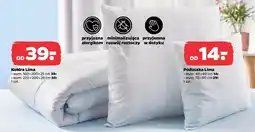 Netto Poduszka Lima 70x80cm oferta