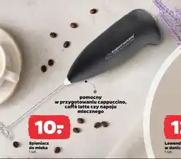 Netto Lawenda w doniczce oferta