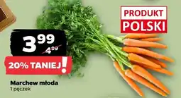 Netto Marchew młoda oferta