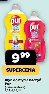 Netto Płyn do mycia naczyń Pur oferta