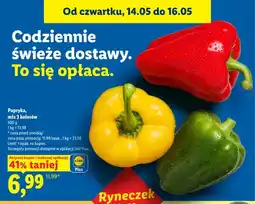 Lidl Papryka mix 3 kolorów oferta