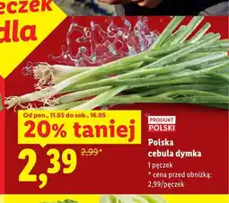 Lidl Cebula dymka polska oferta