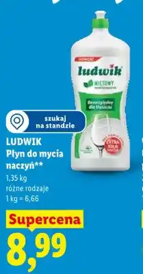 Lidl Płyn do mycia naczyń Ludwik oferta
