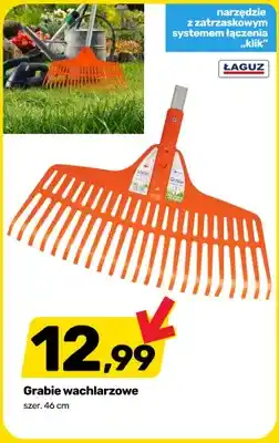 Bricomarche Grabie wachlarzowe ŁAGUZ szer. 46cm oferta