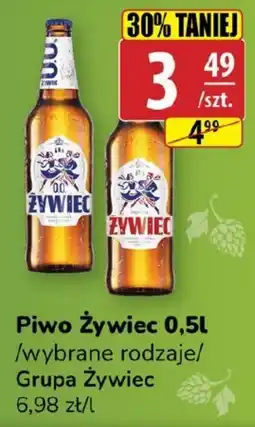API MARKET Piwo Żywiec Grupa Żywiec oferta