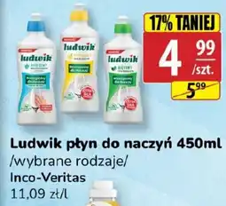 API MARKET Ludwik płyn do naczyń Inco-Veritas oferta