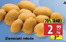API MARKET Ziemniaki młode oferta