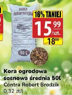 API MARKET Kora ogrodowa sosnowa średnia Contra Robert Brodzik oferta
