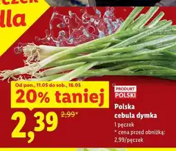 Lidl Polska cebula dymka oferta