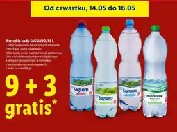 Lidl Wszystkie wody SAGUARO oferta