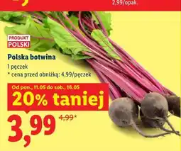 Lidl Polska botwina oferta