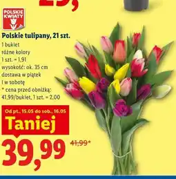 Lidl Polskie tulipany, 21 szt oferta