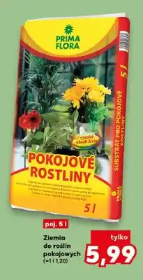 Kaufland Ziemia do roślin pokojowych PRIMA FLORA oferta