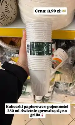Dino Kubeczki papierowe Grill & Chill oferta