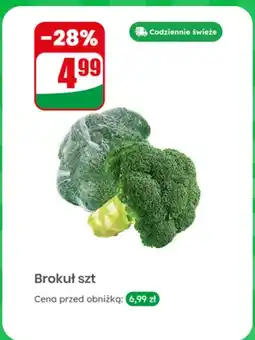 Dino Brokuł oferta