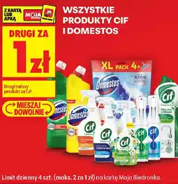 Biedronka Produkty Cif i Domestos oferta