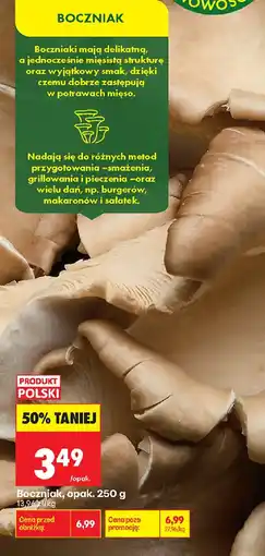 Biedronka Boczniak oferta