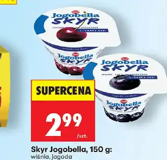 Biedronka Skyr Jogobella oferta