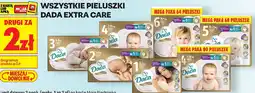 Biedronka Pieluszki Dada Extra Care oferta