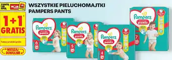 Pieluchomajtki Pampers Pants