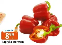 E.Leclerc Papryka czerwona oferta